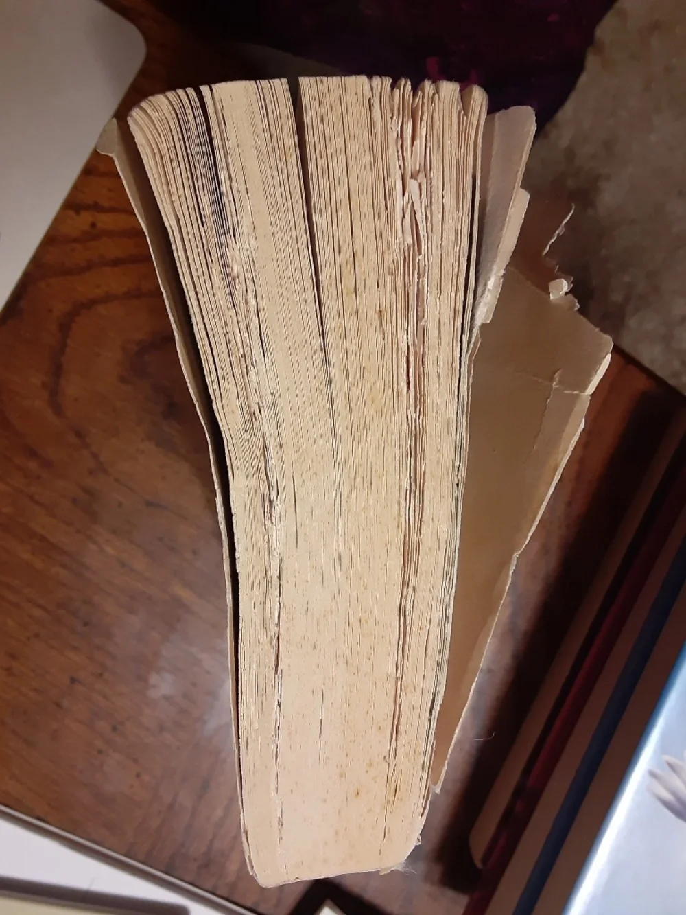Kite Runner Paperback Book